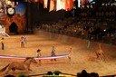 20100801192725DSC02814.jpg