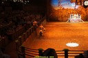 20100801193023DSC02838.jpg