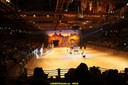 20100801194814DSC02867.jpg