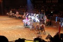 20100801195606DSC02883.jpg