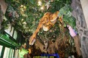 DSC00191.jpg