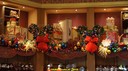 DSC05617.jpg