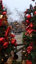 Filename=20241230_163258.JPG
Filesize=135KiB
Dimensions=338x600
Date added=Jan 03, 2025 20241230_163258.JPG