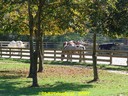 DSC01860.jpg