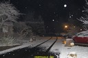 DSC04451.jpg