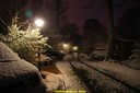 DSC04452.jpg