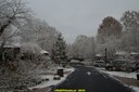 DSC04456.jpg
