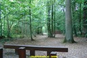 DSC06268.jpg