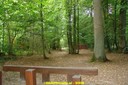 DSC06269.jpg