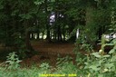DSC06273.jpg