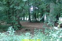 DSC06274.jpg