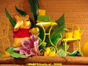 DSC07115.jpg
