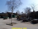 DSC07198.jpg