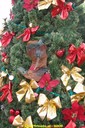 DSC07321.jpg