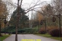 DSC07326.jpg