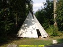 DSC08054.jpg