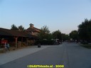 DSC08100.jpg