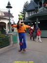 DSC02030.jpg