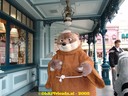 DSC03434.jpg