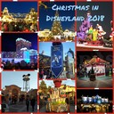 Filename=inCollage_20190104_085332290.JPG
Filesize=214KiB
Dimensions=768x768
Date added=Dec 03, 2020 inCollage_20190104_085332290.JPG