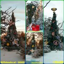 Filename=inCollage_20201211_195248602.JPG
Filesize=208KiB
Dimensions=750x750
Date added=Dec 14, 2020 inCollage_20201211_195248602.JPG