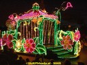 DSC04616.jpg
