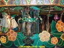 DSC04620.jpg