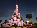 DSC04905.jpg