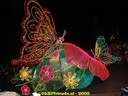 DSC04925.jpg