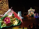 DSC04926.jpg