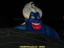 DSC04953.jpg