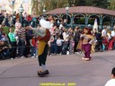 DSC01970.jpg