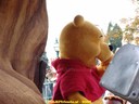DSC01979.jpg