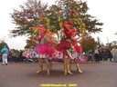 DSC02231.JPG