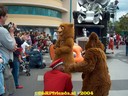HPIM0758.jpg