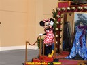 DSC09426.jpg