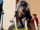 DSC09434.jpg