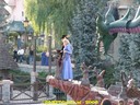 DSC08608.jpg