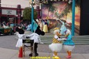 DSC06083.jpg
