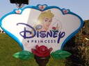 DSC07172.JPG