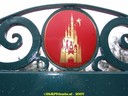 DSC02432.jpg