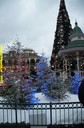 DSC08821.JPG