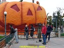 DSC01187.jpg