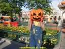 dsc00878.jpg