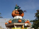 dsc00879.jpg