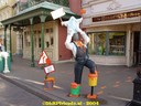 dsc00902.jpg