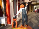 dsc00909.jpg