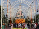 dsc00913.jpg