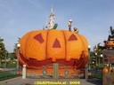 dsc00918.jpg