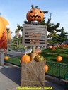 dsc00921.jpg